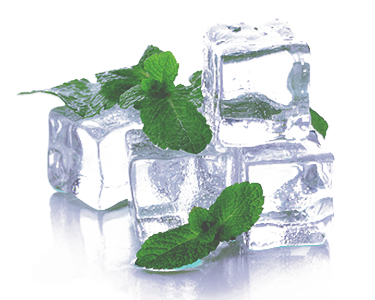 Menthol ingredient