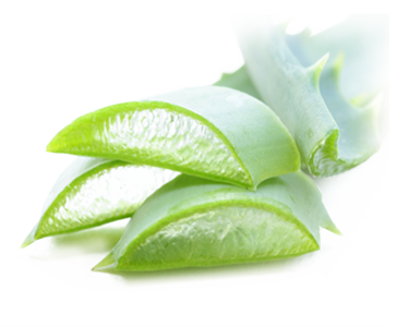 Aloe barbadensis ingredient