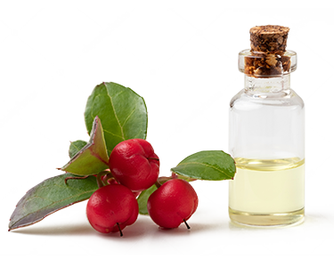 Wintergreen oil ingredient